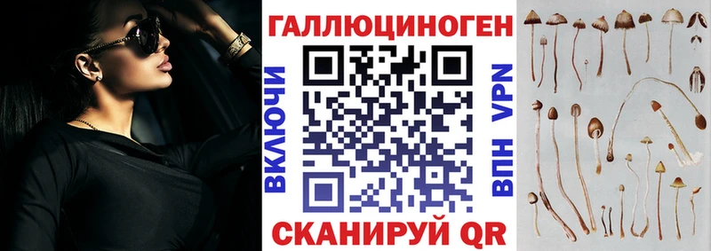 Псилоцибиновые грибы Psilocybe  Купить закладки  Владимир 